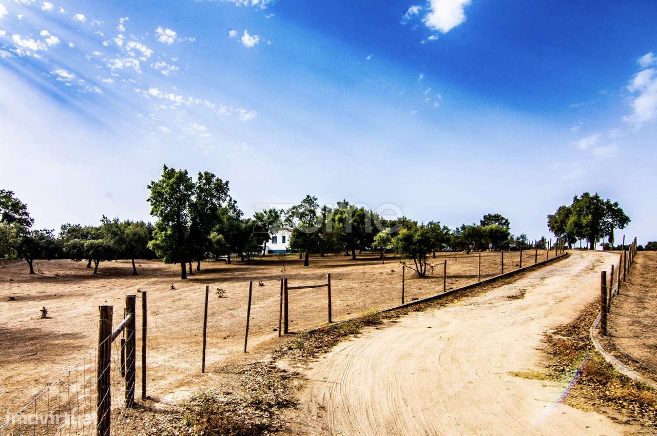 ESPETACULAR MONTE ALENTEJANO DE LUXO, T4+1, JUNTO AO CRATO-PORTALEGRE - Grande imagem: 4/60