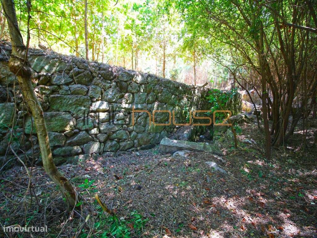 Quinta com Ribeiro e casa para restaurar - Terreno de cultivo-14