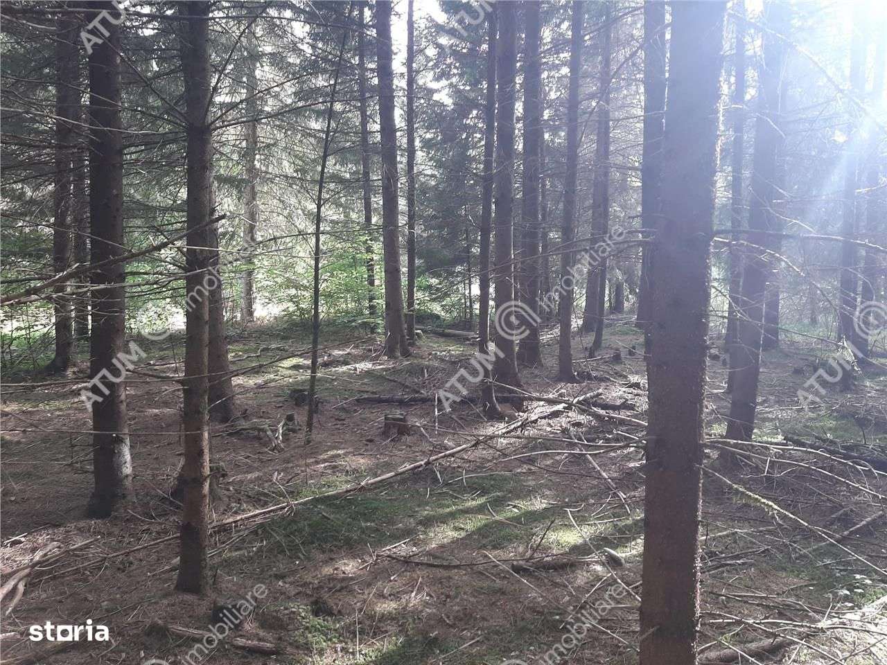 Teren intravilan  Avrig pe Valea Avrigului in zona Mlaci - Imagine principală: 2/5