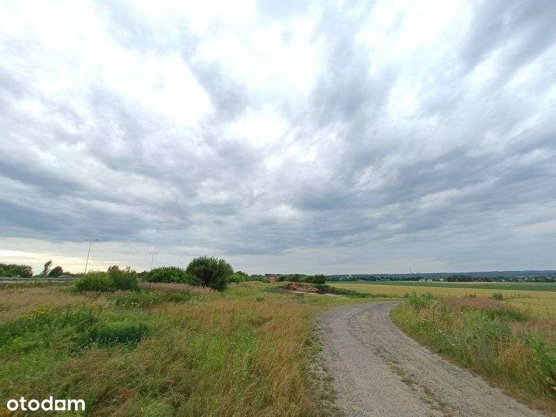 Gliwice, Sośnica A1, A4, 3,6 ha - Pełny obrazek: 2/5