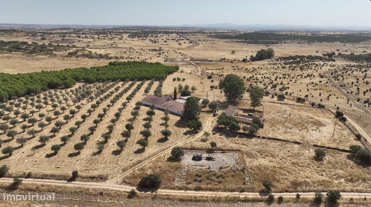 MONTE ALENTEJANO NO ALANDROAL, ÉVORA-8