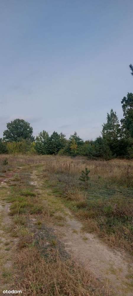 Malownicza działka rolna w pobliżu jeziora-9