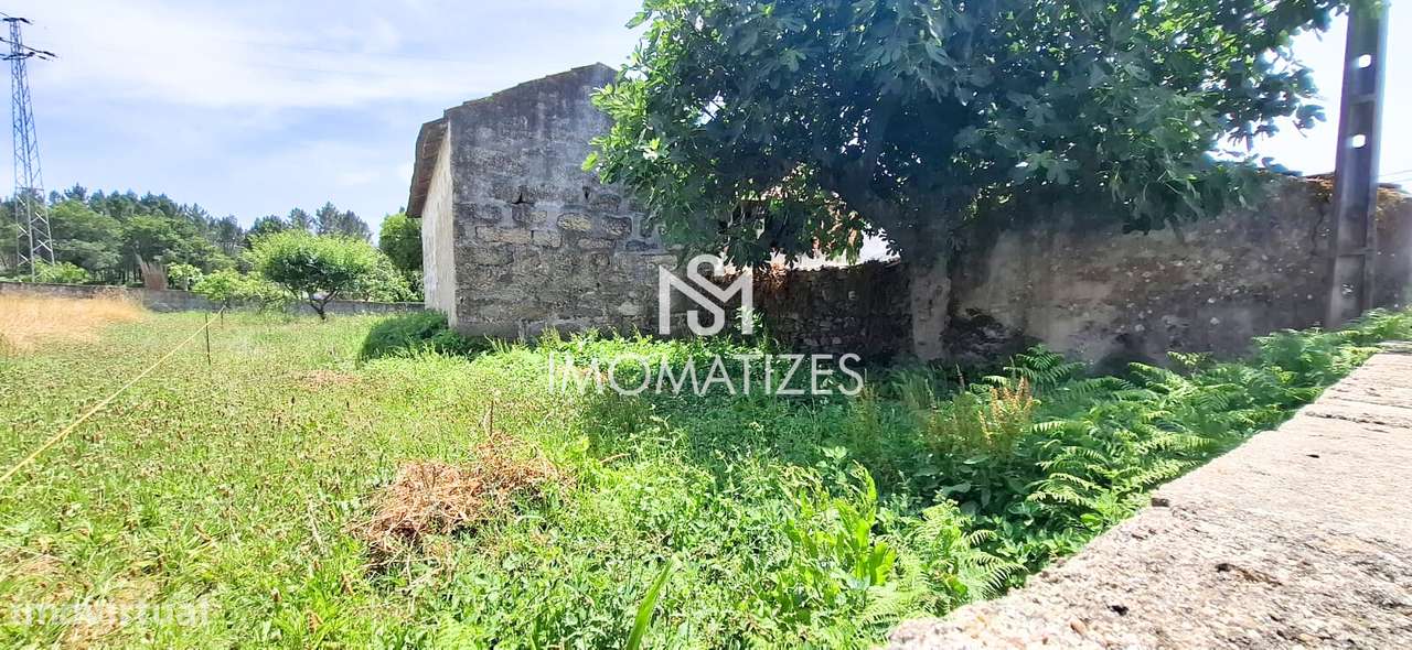 Moradia T3 isolada para reabilitação total - São Romão do Coronado-7