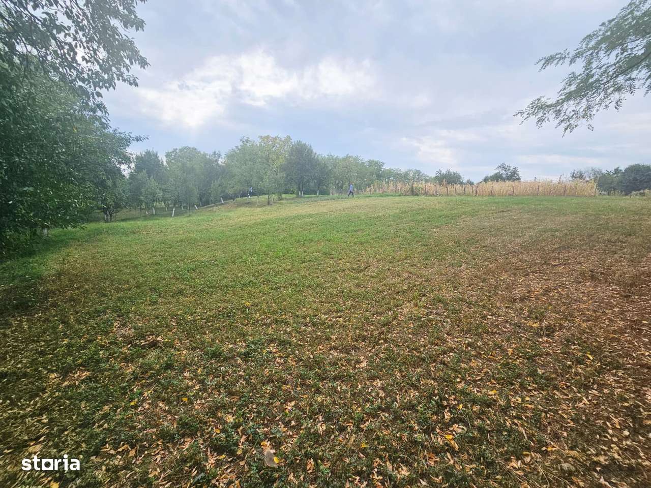 Teren intravilan, cu priveliște – Vălenii de Munte - Imagine principală: 4/19