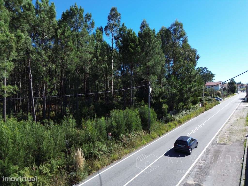 Terreno com cerca de 7700m2, bem localizado, no centro de Santa Mar...-18