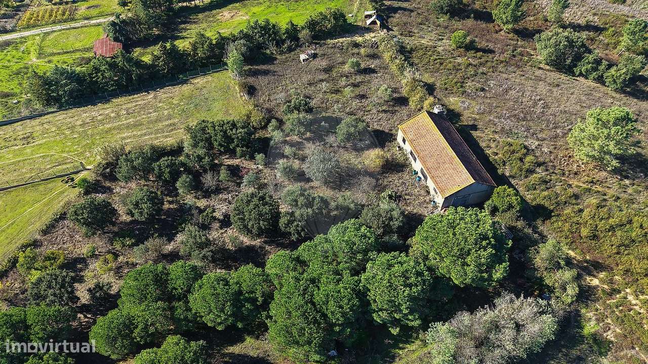 Terreno  para venda-17