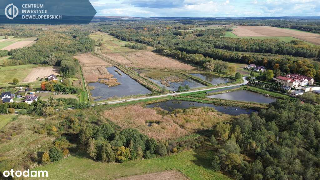 Stawy rybne z prowadzoną hodowlą ryb - Pełny obrazek: 4/9