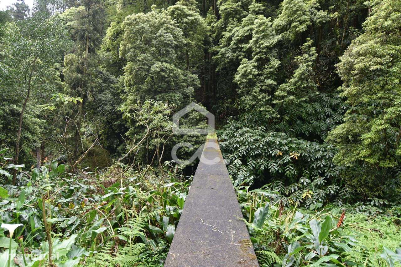 Terreno com 2500,00 m2 - Água de Pau - Lagoa - Grande imagem: 4/9