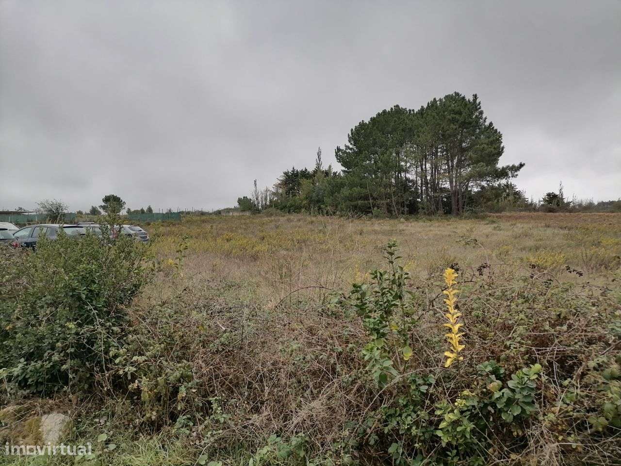 Quinta com Moradia Independente na Terrugem, S.João das Lampas, Sintra-43