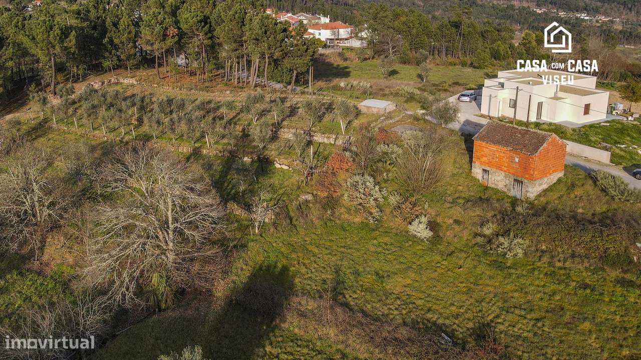 Quinta em S. Pedro de France - Grande imagem: 2/9