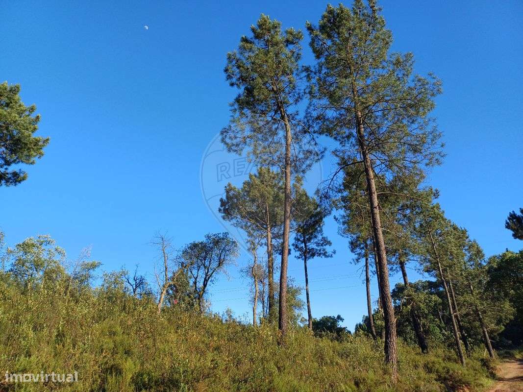 Terreno  para venda - Grande imagem: 5/20