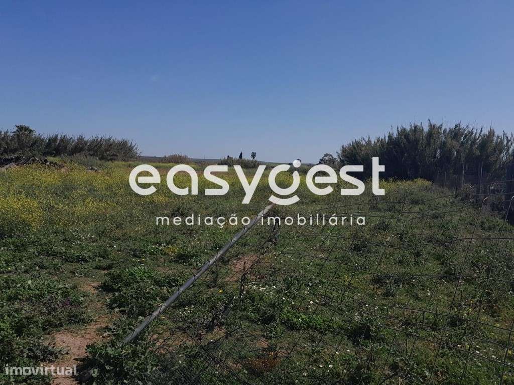 Terreno em Beja com 20.000 m2, acesso pela Estrada Nacional - Grande imagem: 2/41