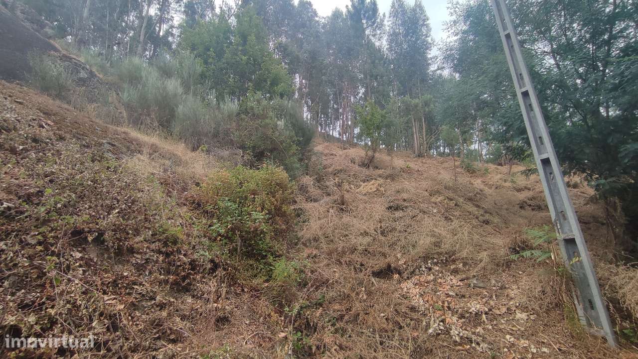 Terreno, 2 200 m², Bouro (Santa Maria) - Grande imagem: 5/8