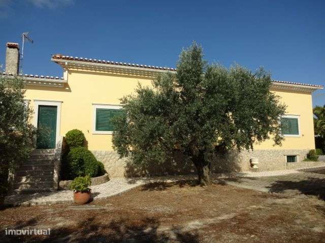 Quinta T/7 Cartaxo-14