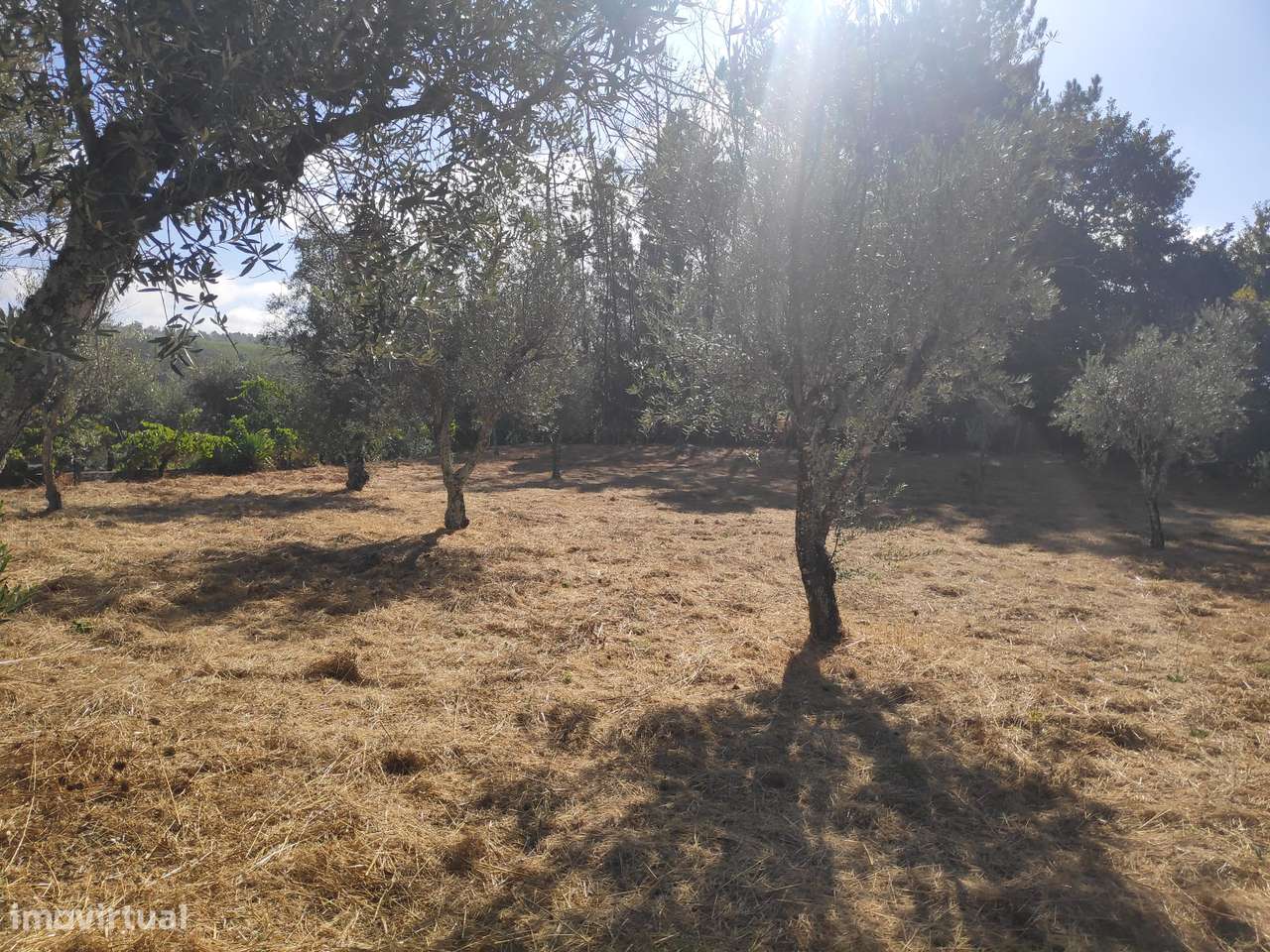 Excelente Terreno para Construção - Grande imagem: 3/8