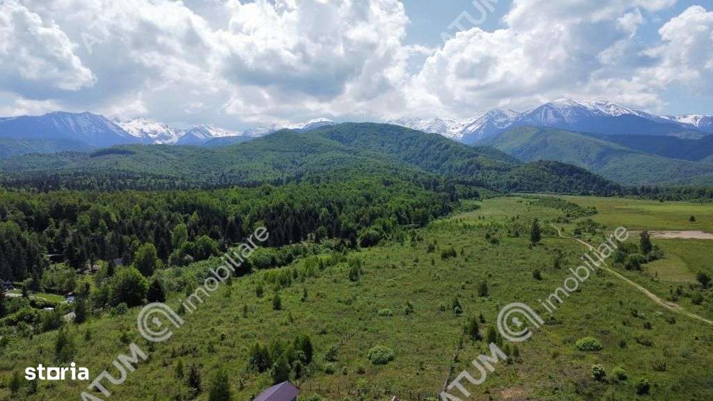 Teren Intravilan in Avrig zona Valea Avrigului 8900 metri - Imagine principală: 4/4