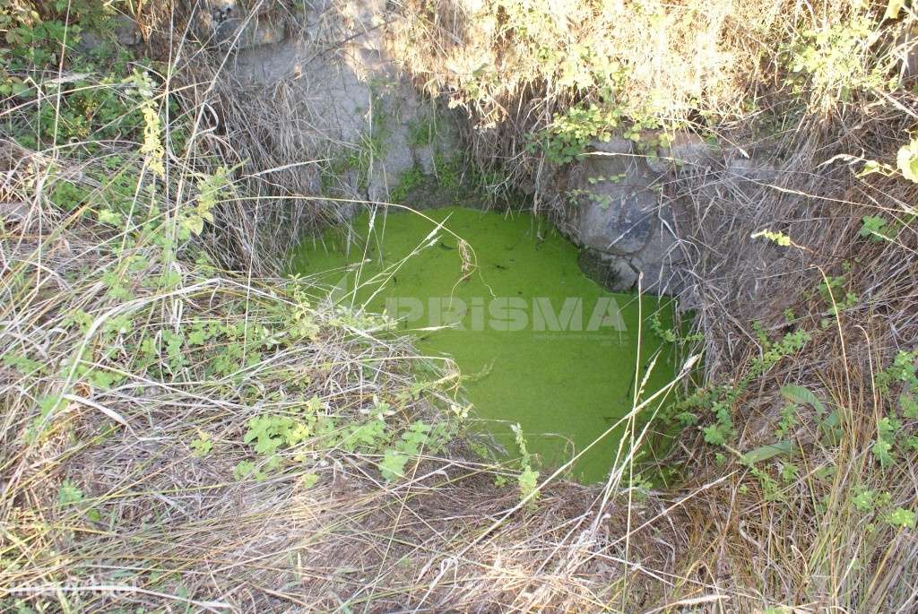 Quintinha para venda - Grande imagem: 5/47