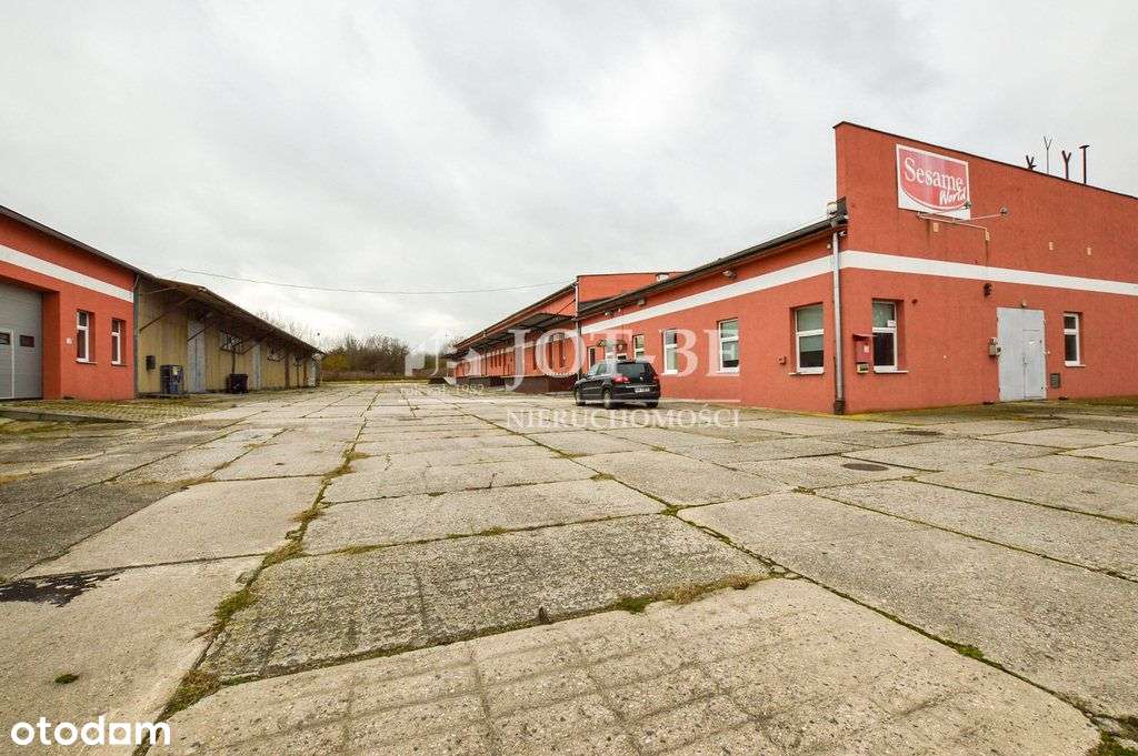 Hala produkcyjno-magazynowa Gotowa - Brzeg/ PawŁów - Pełny obrazek: 5/20