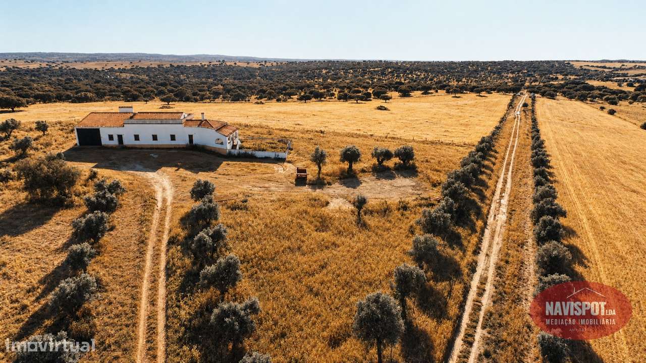 Herdade com 750 hectares no Alentejo-42