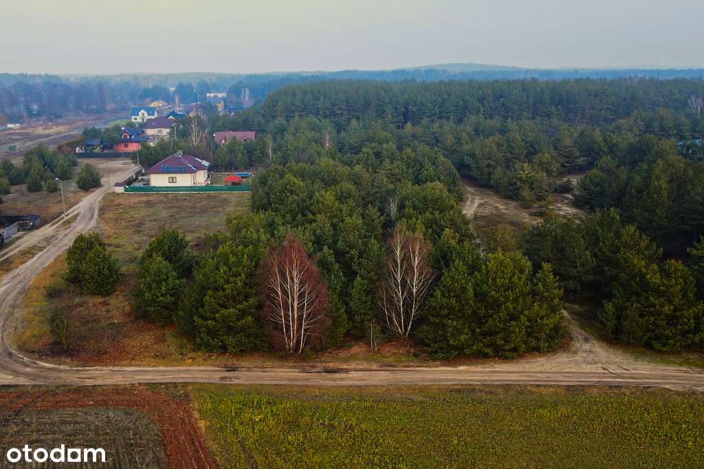 ✅Sprawdź>Atrakcyjna działka w malowniczej okolicy✅ - Pełny obrazek: 5/20