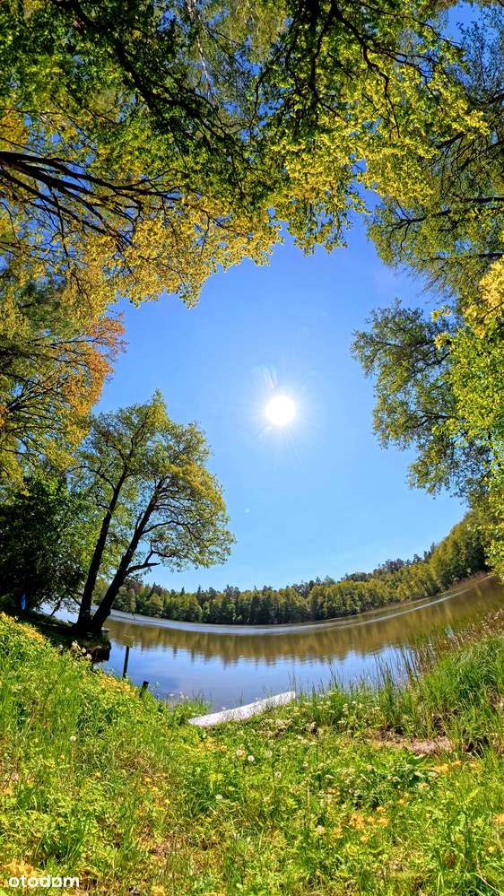 Malownicza działka budowlana - przy LESIE nad JEZIOREM k. Olsztynka - Pełny obrazek: 5/20