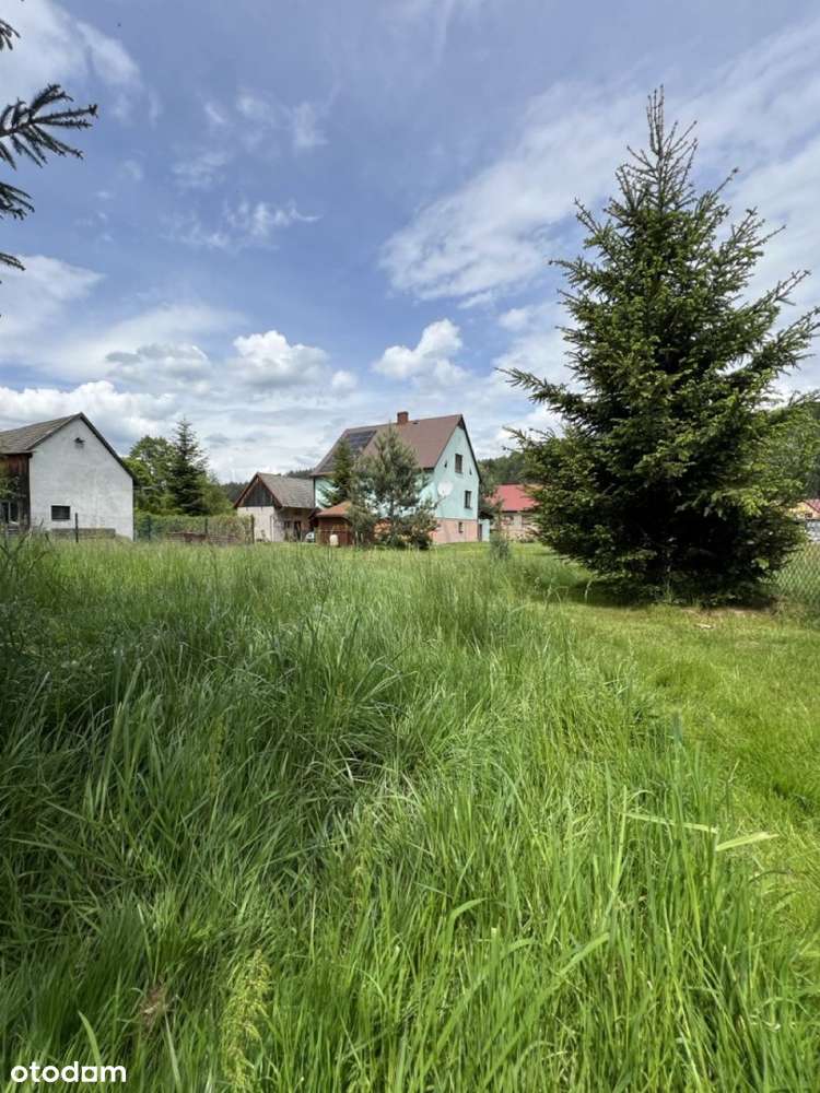 Dom w spokojnej okolicy - Pełny obrazek: 4/20