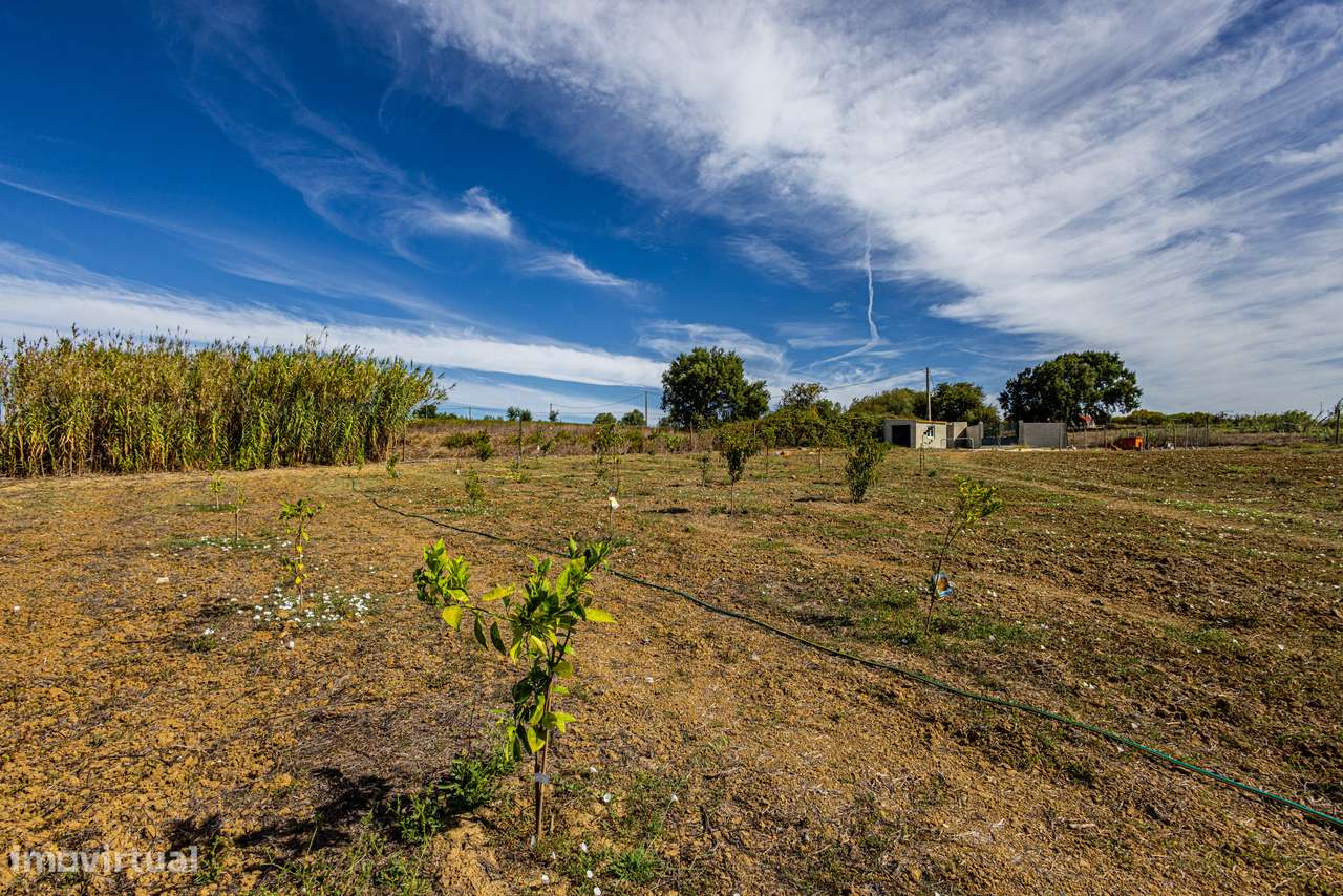 Excelente propriedade com área total de 13 680m2, localizada na Ereira-24