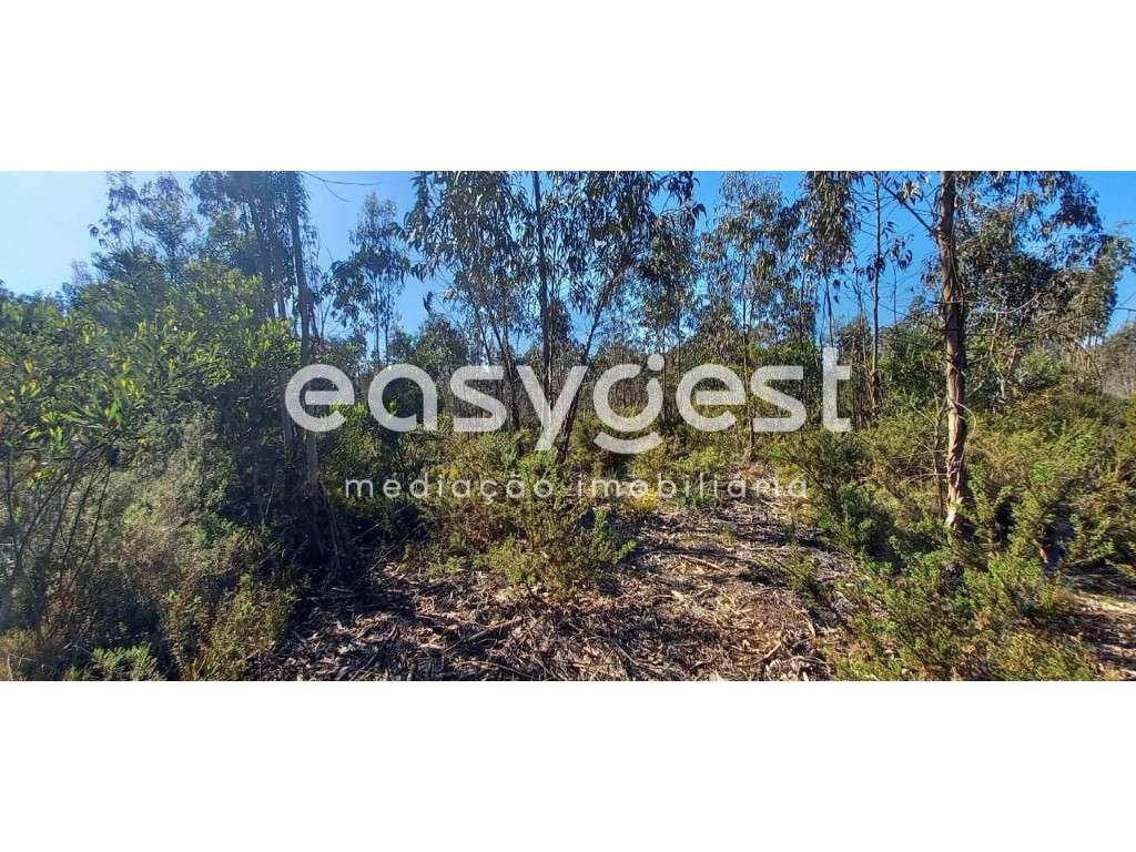 Terreno Rústico - em Cantanhede - perto da Zona Industrial - Grande imagem: 2/11