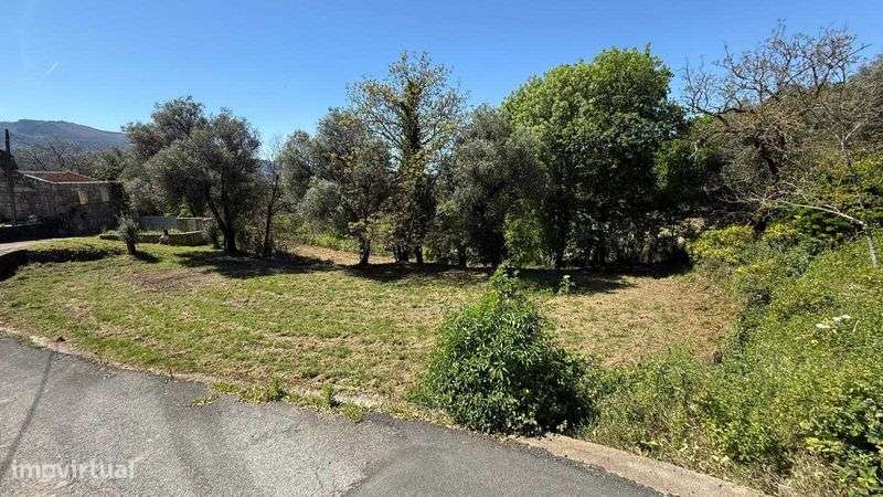 Terreno para Construção em Jolda (São Paio) – Arcos de Valdevez - Grande imagem: 5/6