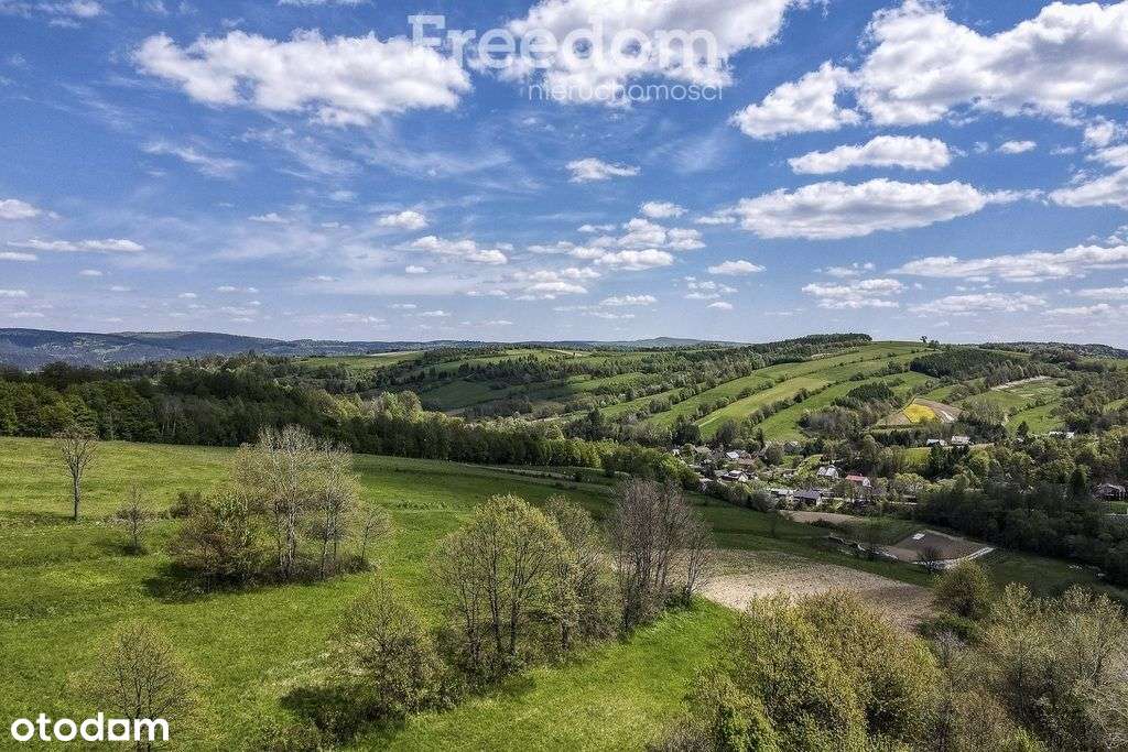 Działka z widokiem 92 ar – Końskie, gm. Dydnia - Pełny obrazek: 5/16