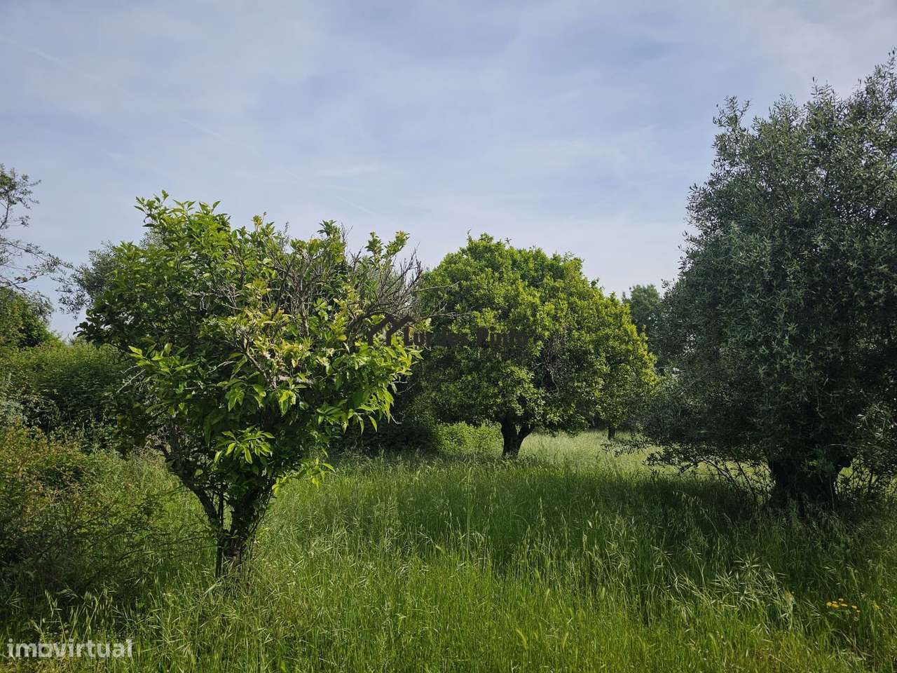 Quinta à beira do Rio Ocreza-12