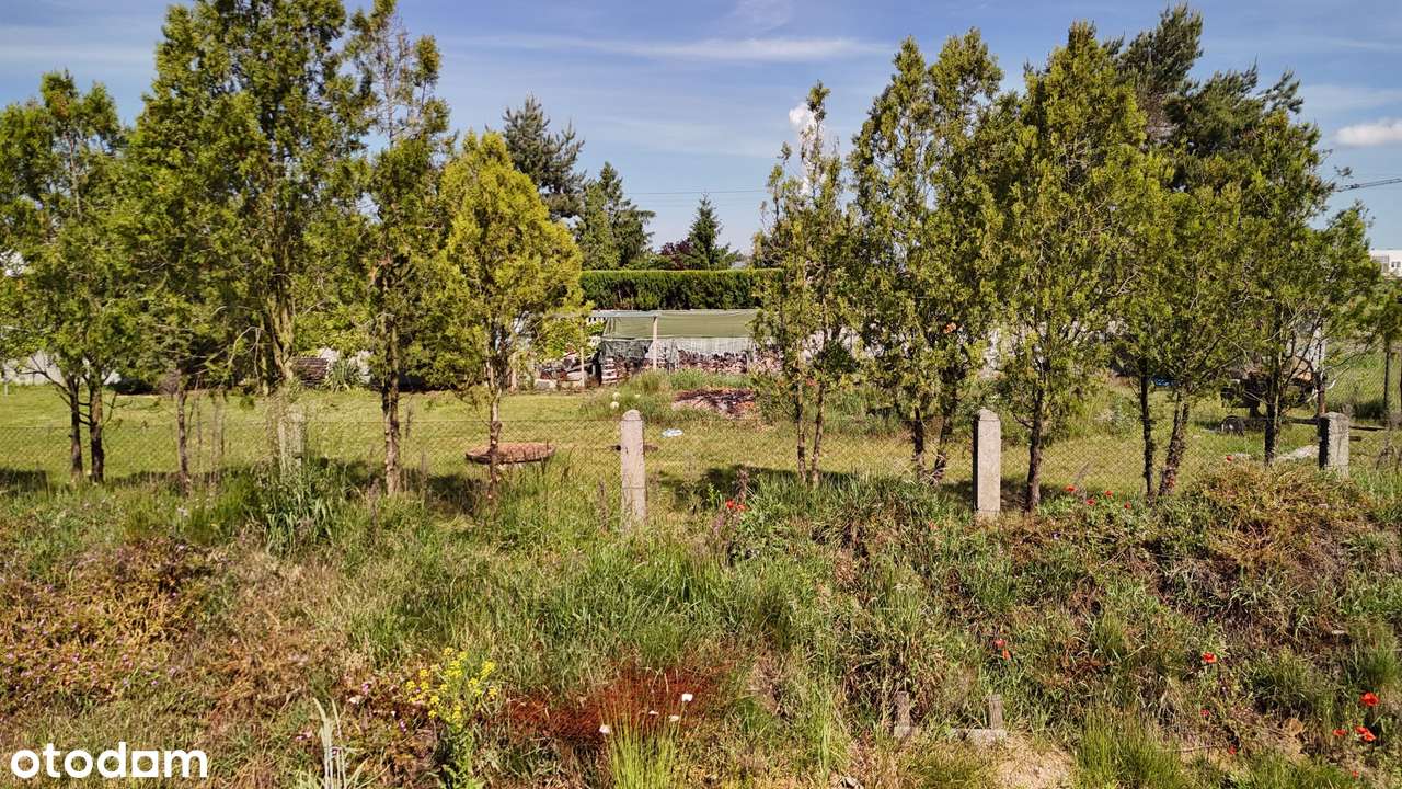 Działka z rozpoczętą budową w Kępie - Pełny obrazek: 5/14