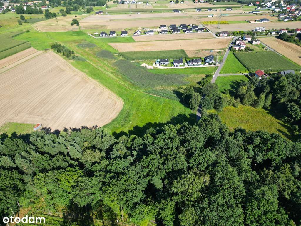 Pasieki, las, media i asfalt - idealne !-8