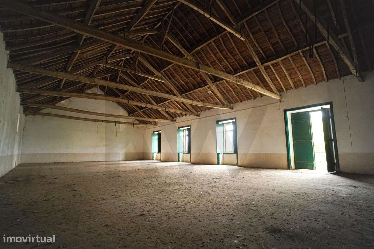 Palacete único dos anos 30 do séc. XX ergue-se no coração de Alcanena-16