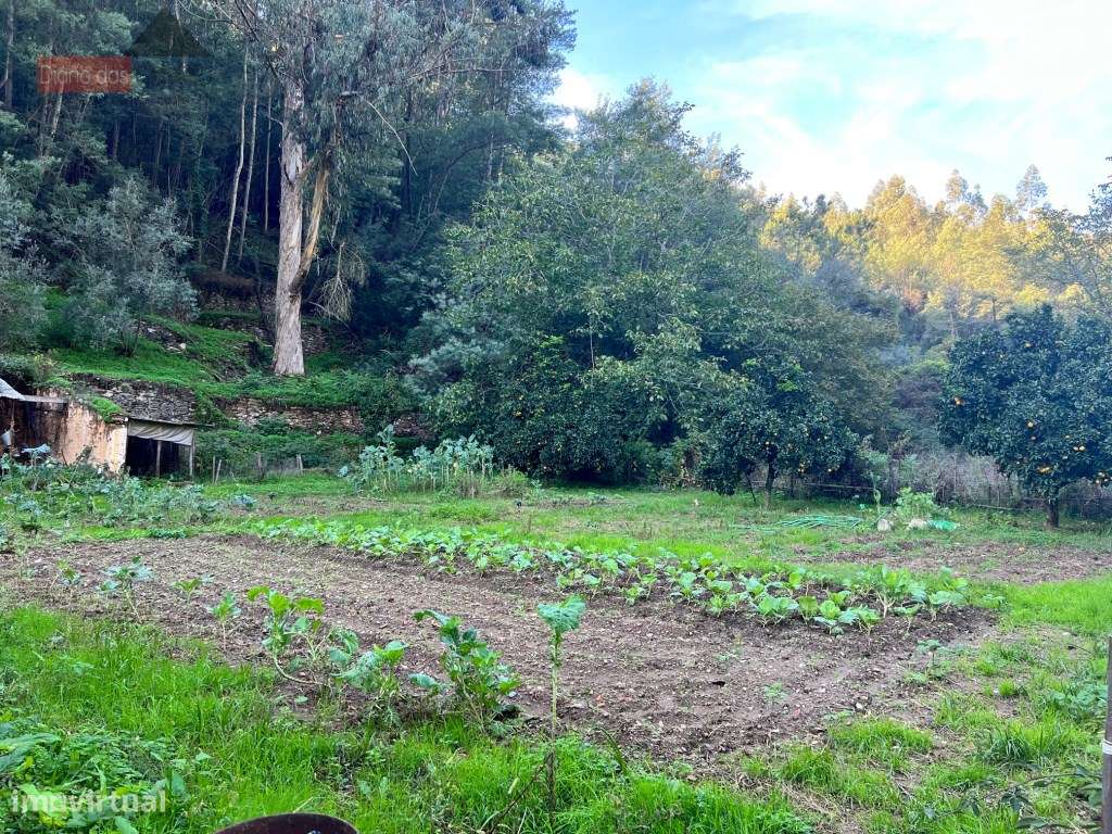 Lagar em Coimbra - Torres do Mondego (Coimbra) Portugal-15