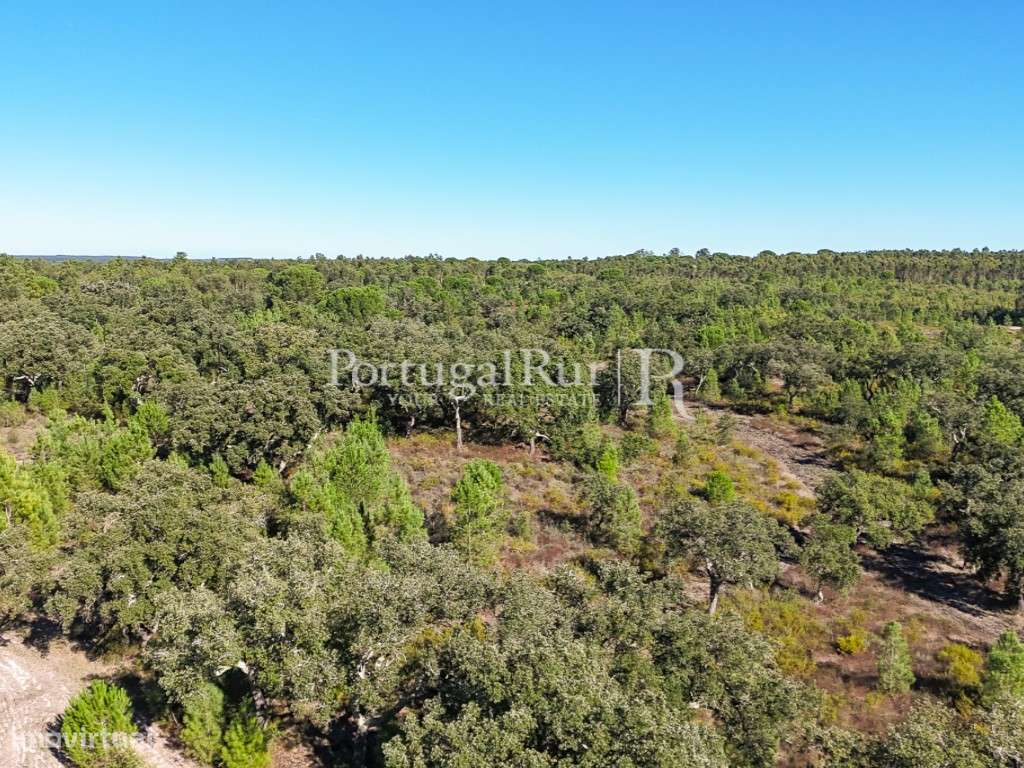 Quinta de 20ha com projeto para Turismo Rural a 1h de Lisboa-34