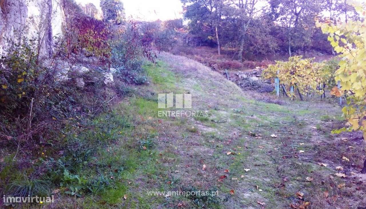 Venda Terreno, Paredes  de Viadores, Marco de Canaveses - Grande imagem: 5/12