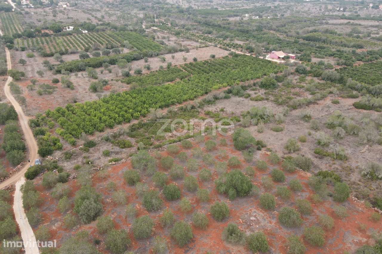 Terreno Rústico em Messines, em Carrascal com 6.080m2 - Grande imagem: 3/15