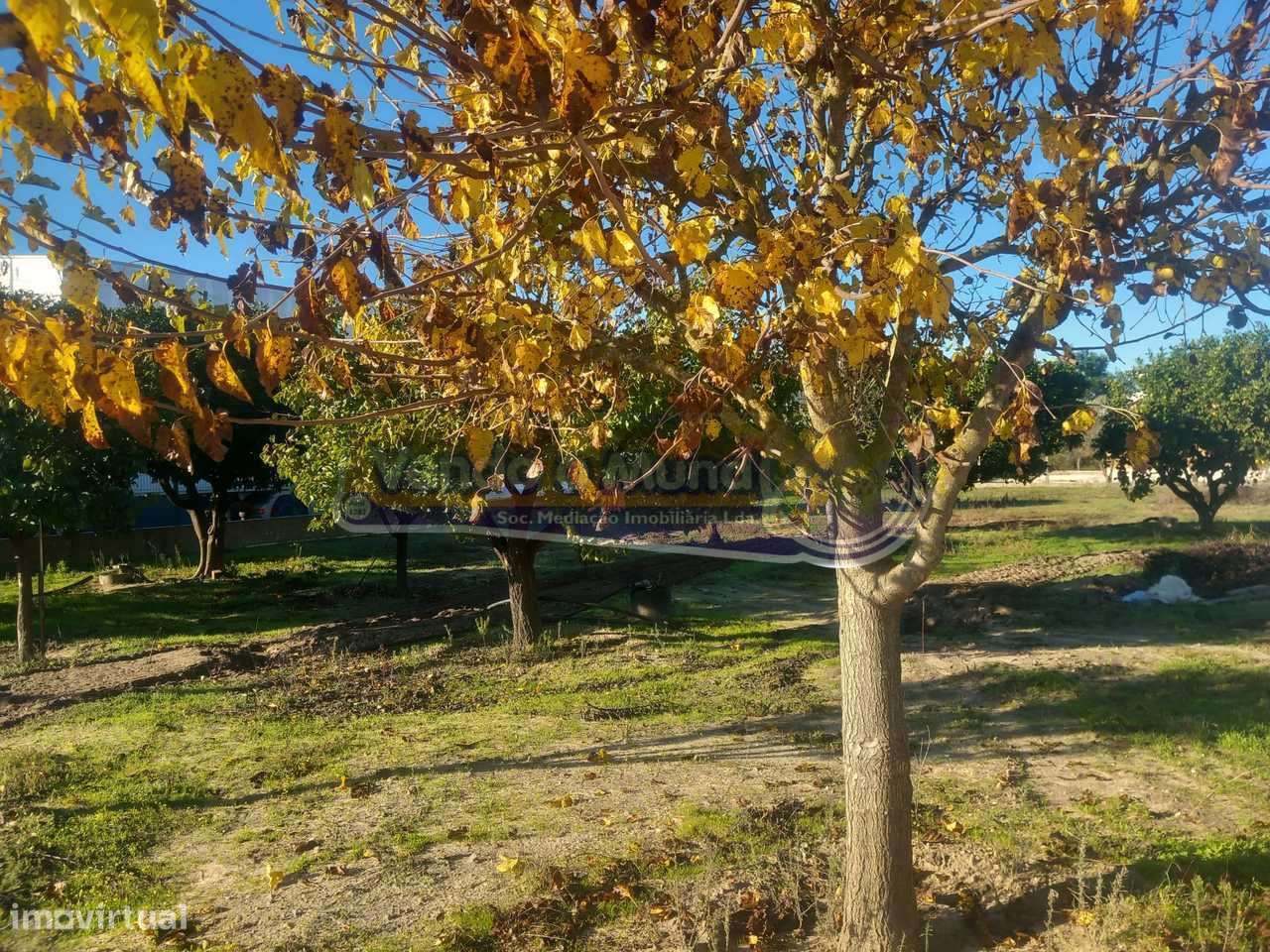 Terreno em Benavente (B625) - Grande imagem: 4/17