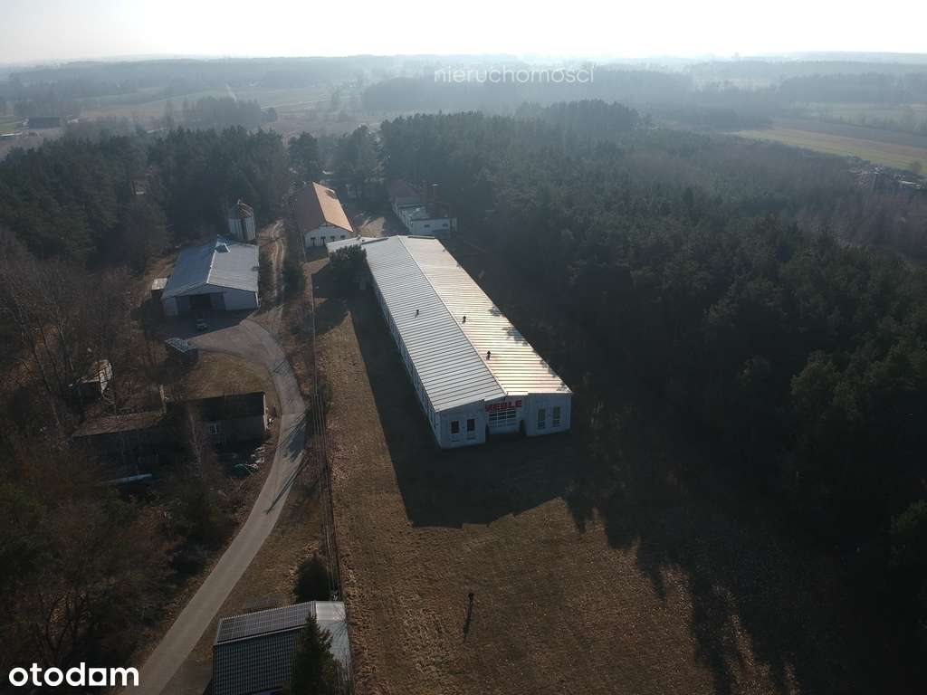 Hala produkcyjna z magazynem, biurami oraz działką - Pełny obrazek: 4/20