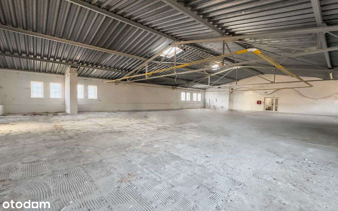 Obiekt w doskonałej lokalizacji| Chorzów Katowicka - Pełny obrazek: 5/9