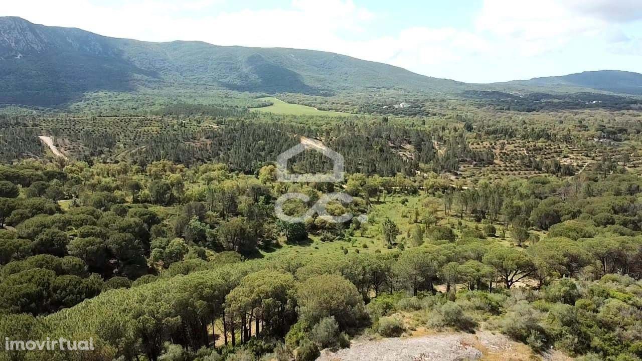 Terreno rústico com  17.250 metros, inserido no Parque Natural da Serr