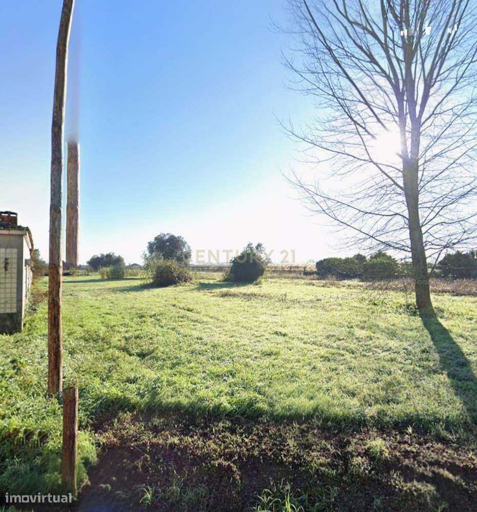 Terreno Urbanizável em Localização Privilegiada - Grande imagem: 4/4