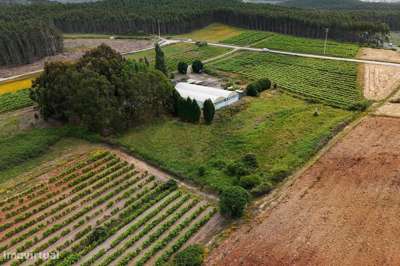 Terreno de cultura e vinha - Grande imagem: 4/17