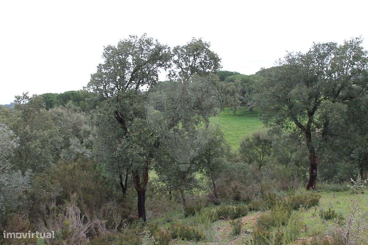 Terreno  para venda