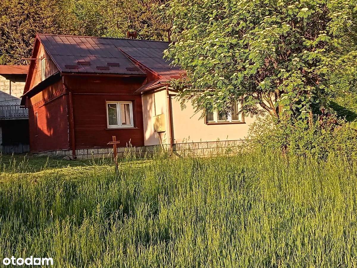Magiczne siedlisko z lasem, rzeczką i historią-11