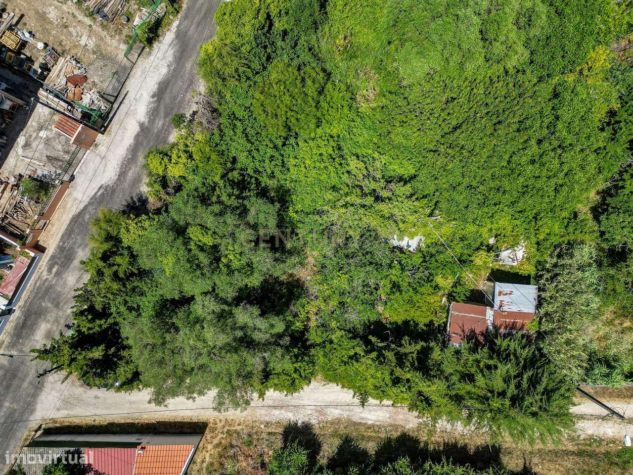 Terreno à Venda em Vale de Almornos – 1.000 m² de Natureza, Potencial - Grande imagem: 4/27