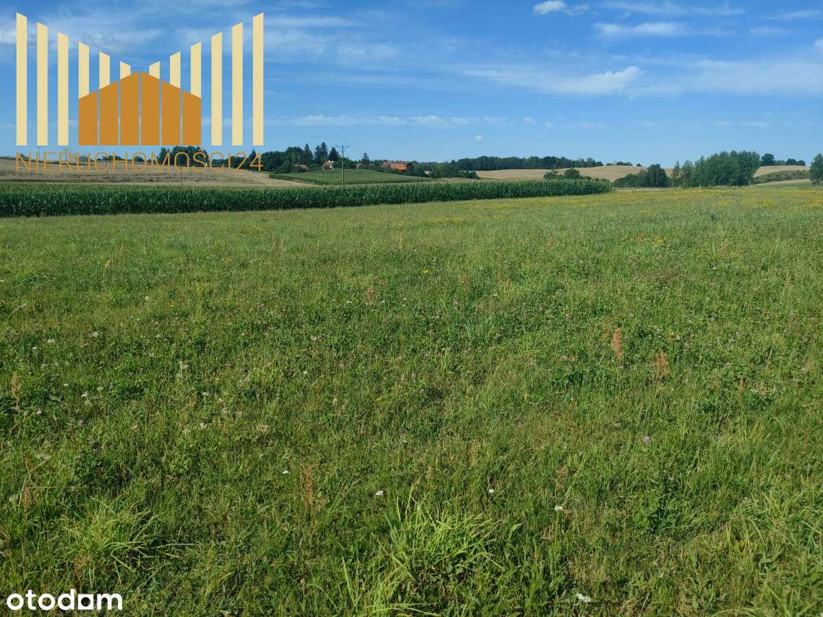 378012 - Pełny obrazek: 5/7