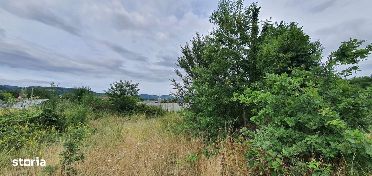 Tautii Magheraus tere intravilan de vanzare - Imagine principală: 5/10