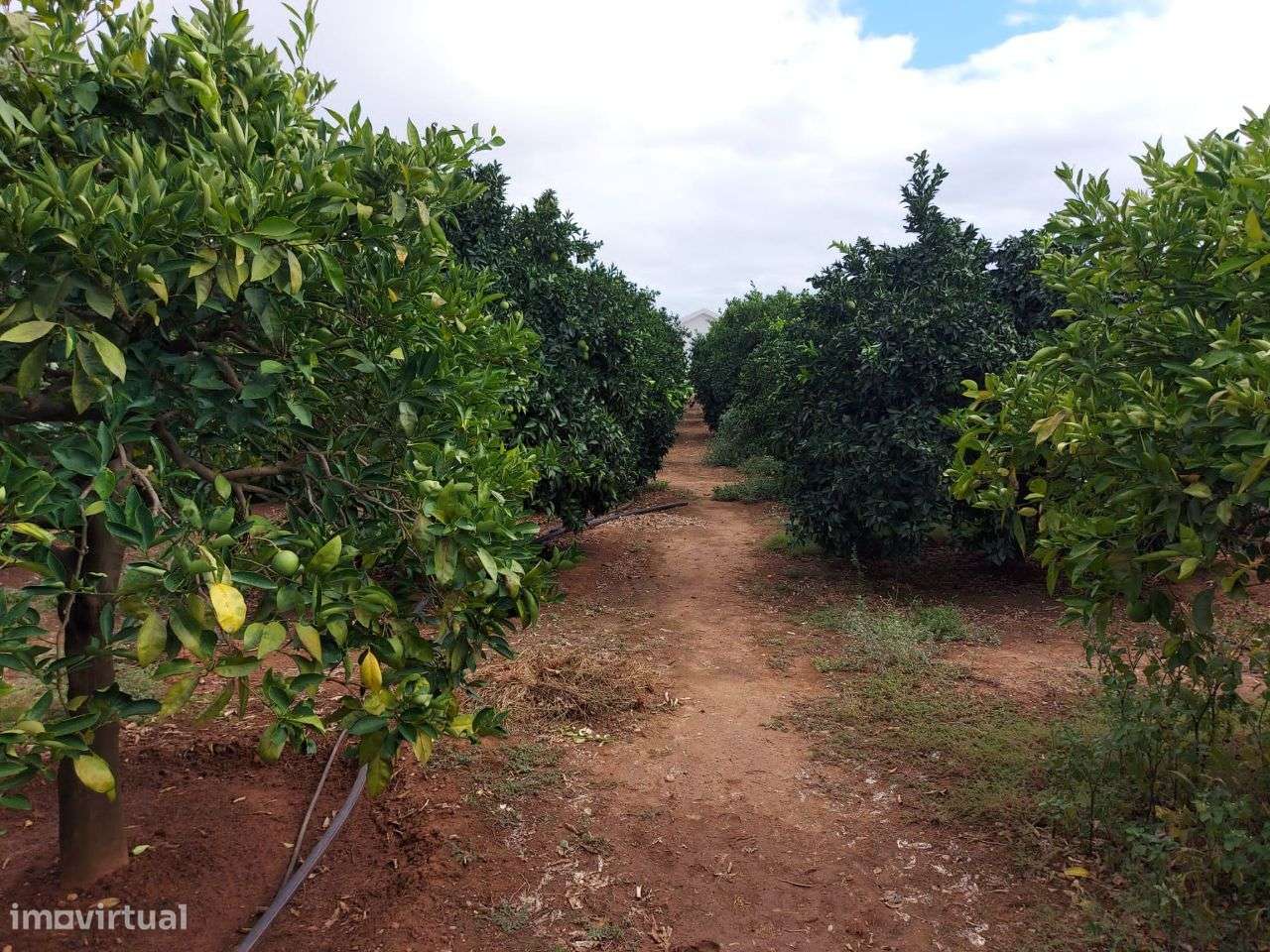 Moradia Geminada T2 - Selmes - Grande imagem: 5/16